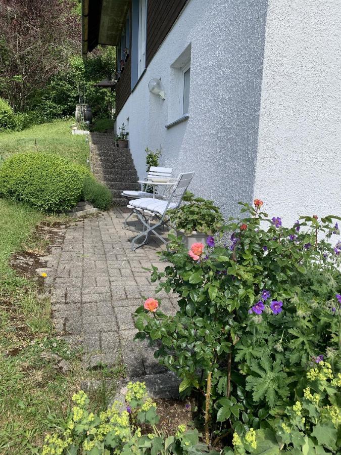Ferienhaus Rotzinger ฮินเทอร์ซาร์เทน ภายนอก รูปภาพ